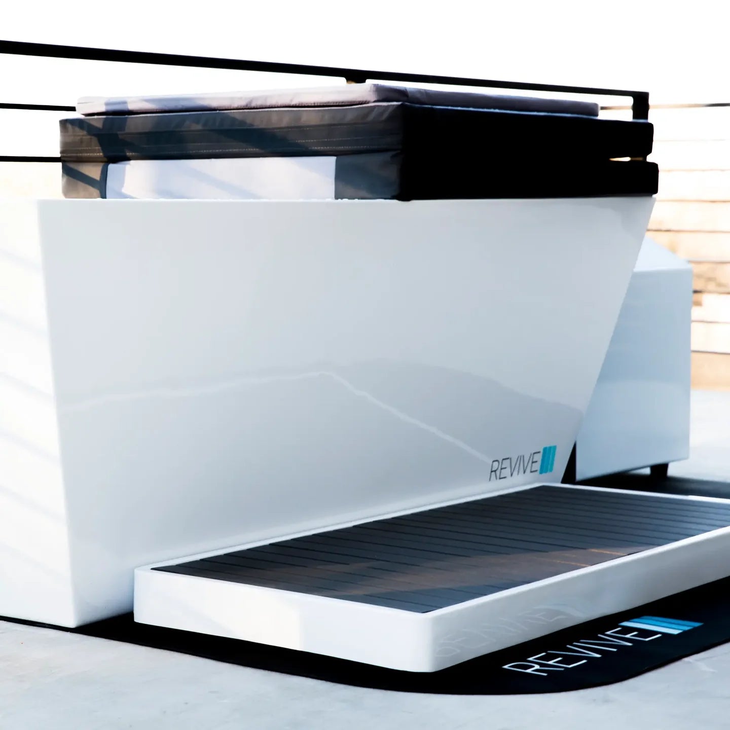 Revive-Acrylic Plunge